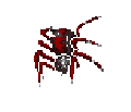 Redfang Spider.gif